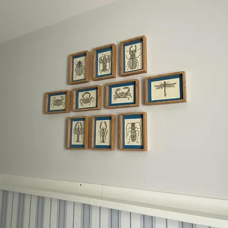 Algarrobo Conil Apartment *